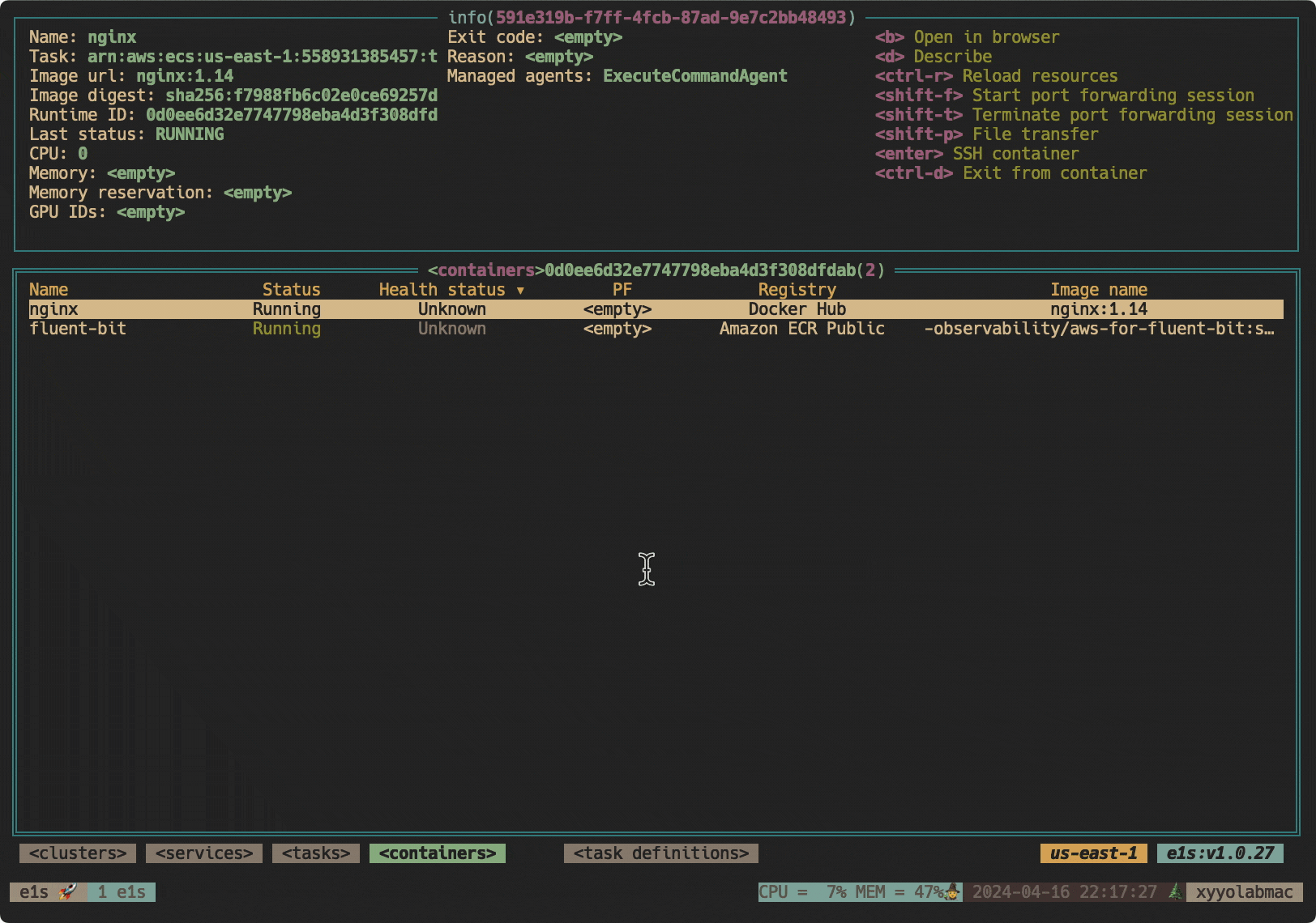 Port forwarding using e1s demo
